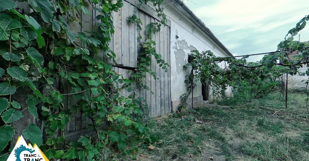 Casa traditionala din caramida de 534 mp cu 4 camere in Neudorf - 5