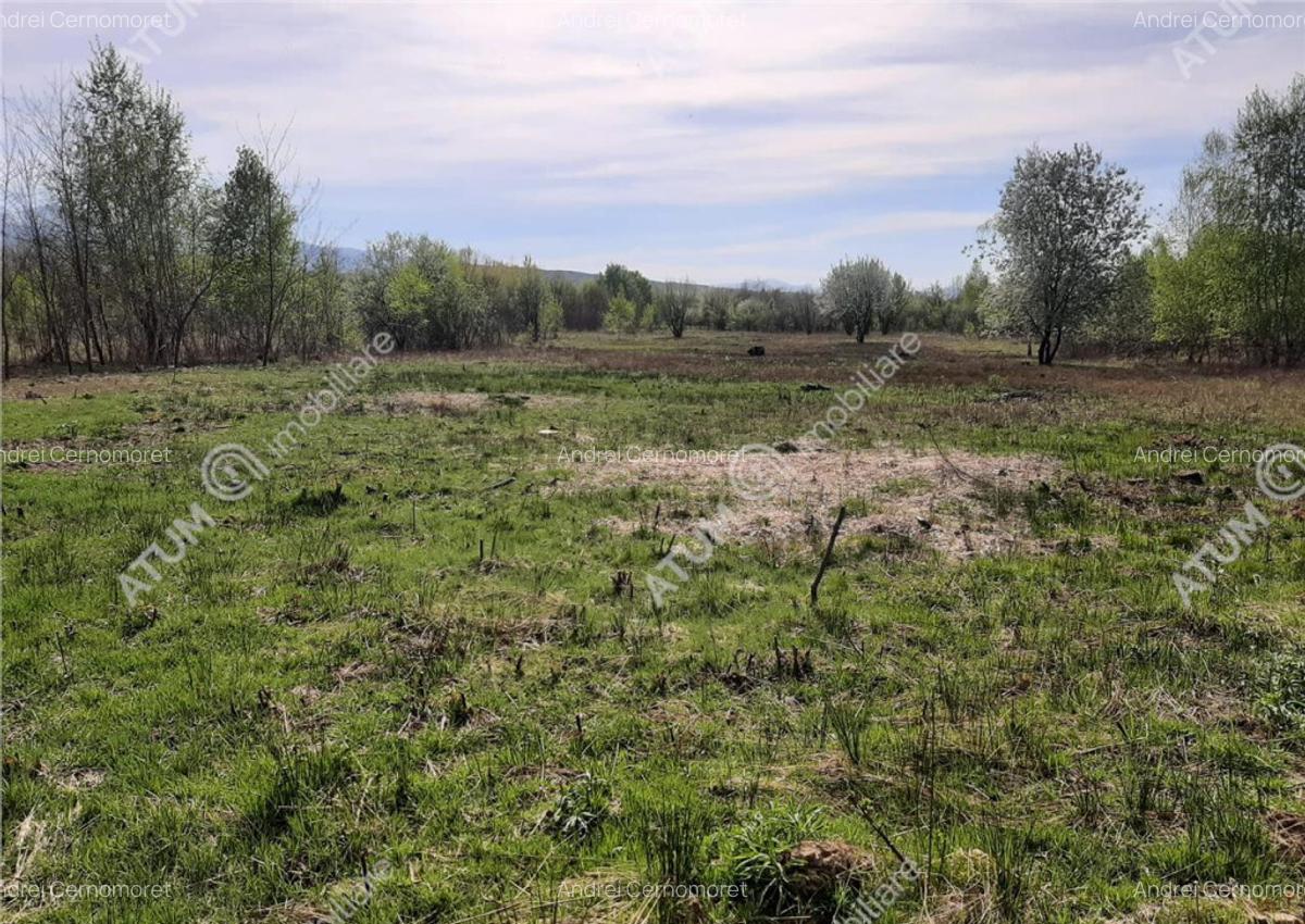 Teren intravilan 2700 mp pe Valea Avrigului localitate Avrig - 9