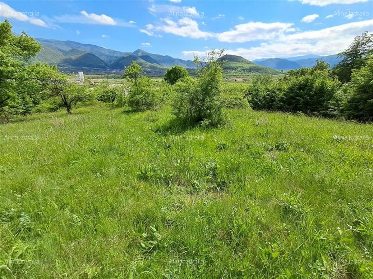Teren  de vanzare la liziera padurii in Talmaciu - 3
