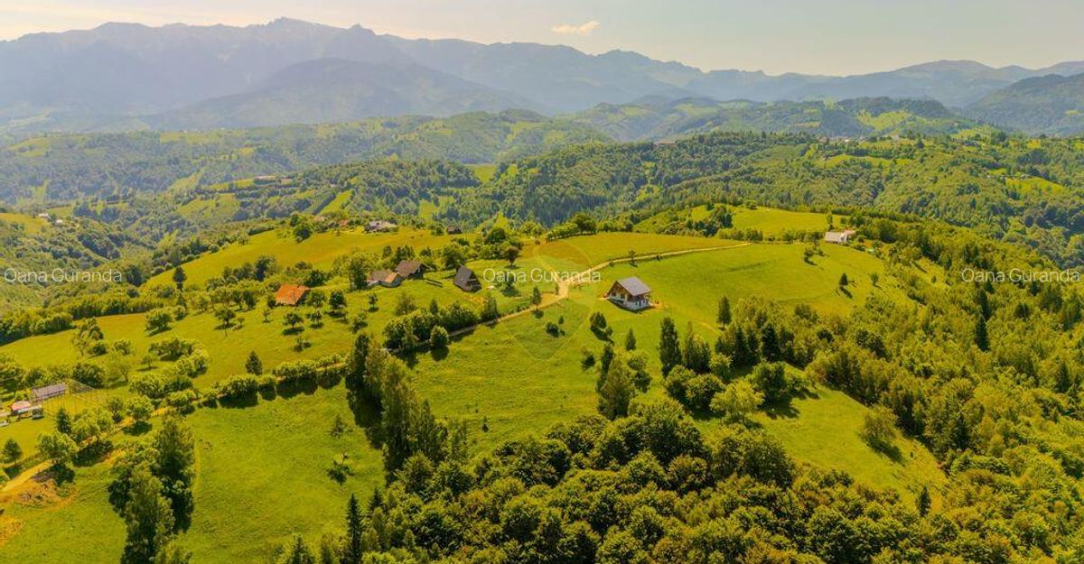 Teren extravilan 2,000mp Pestera / cabana vacanta/natura - 19