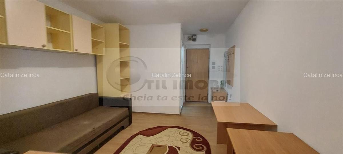 GARSONIERA TUDOR VLADIMIRESCU  LANGA IULIUS MALL 300 EURO - 4