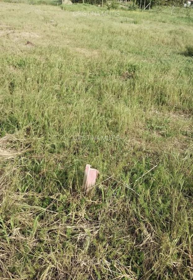 Teren vanzare KM5- Veterani langa parc - 3