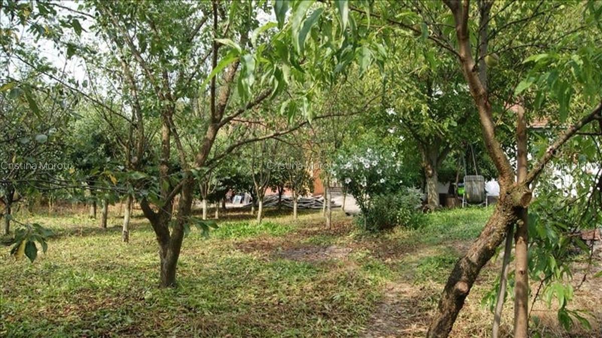 Casă cu 6 camere în Central - 6