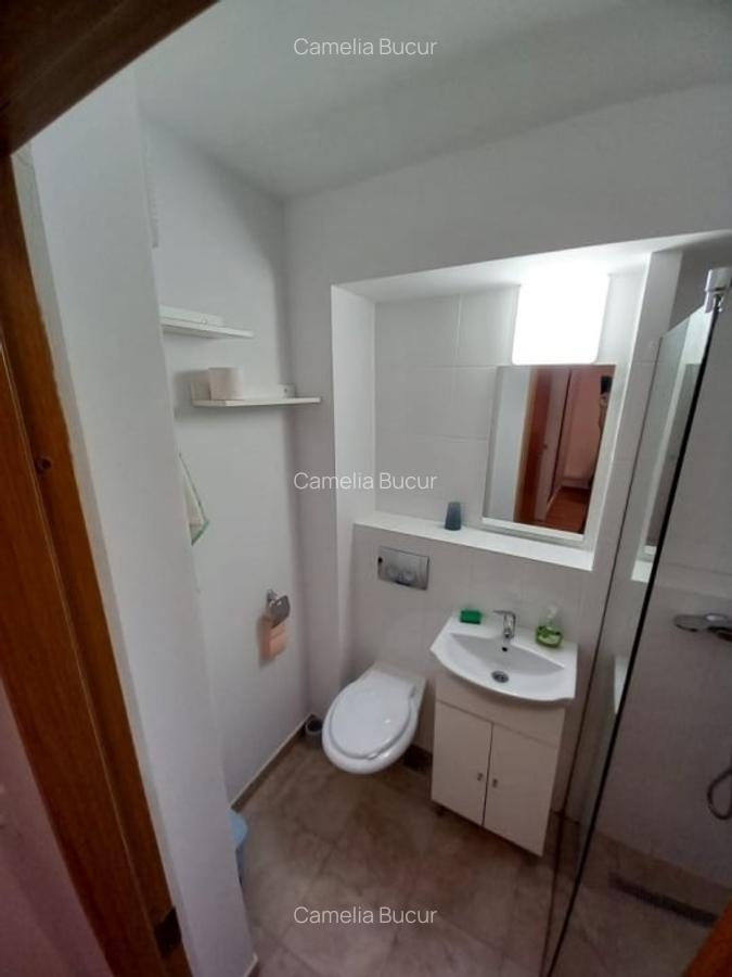 Apartament cu 1 camera - zona Podu Ros  - Cantemir - 3