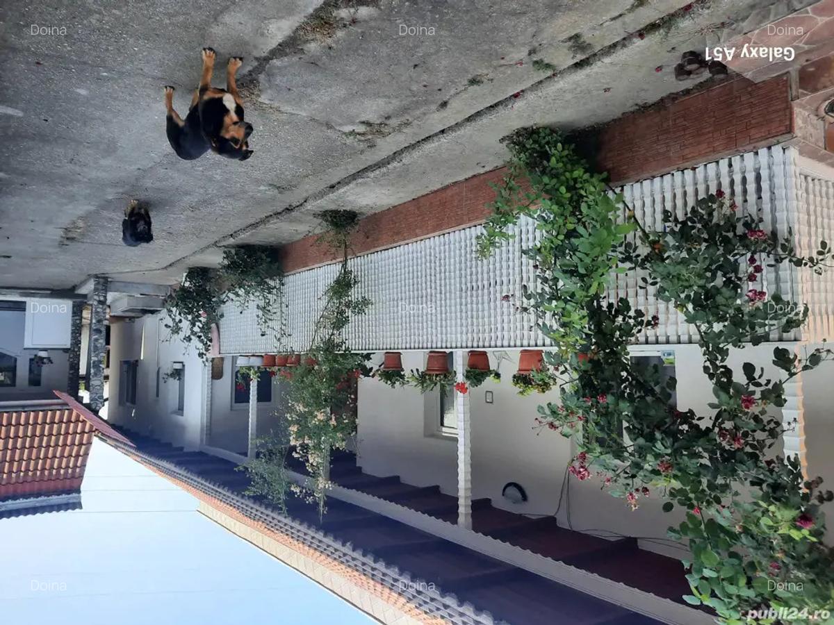 Vand Casa Budesti - 1
