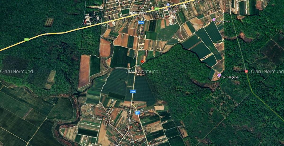 TEREN 500mp | langa Padurea Snagov | IZVORANI | LOCATIE DE VIS - 4