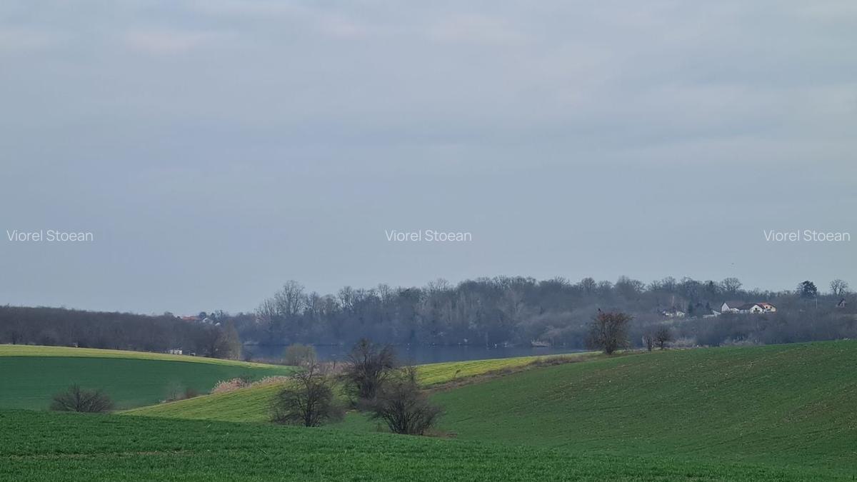 Lot 1000 mp in umbra padurii cu view la lacul academiei din Caciulati - 2