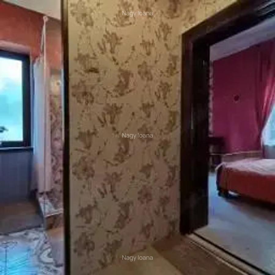 Conac de vanzare - 9