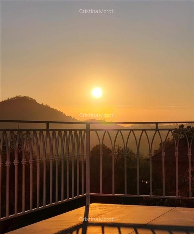 Acasa in Apuseni - 1