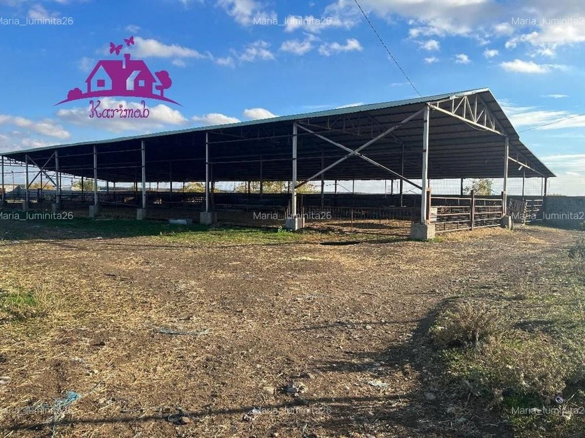 Teren industrial si o constructie pe structura metalica - 1