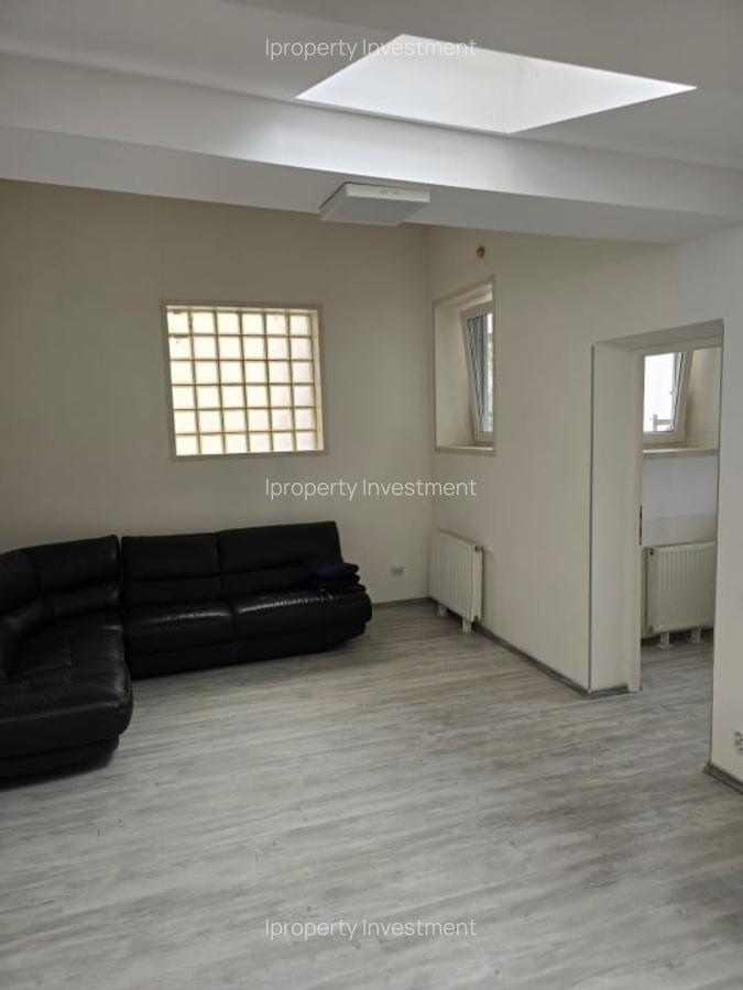 Spațiu comercial, 300 mp în Dacia - 5