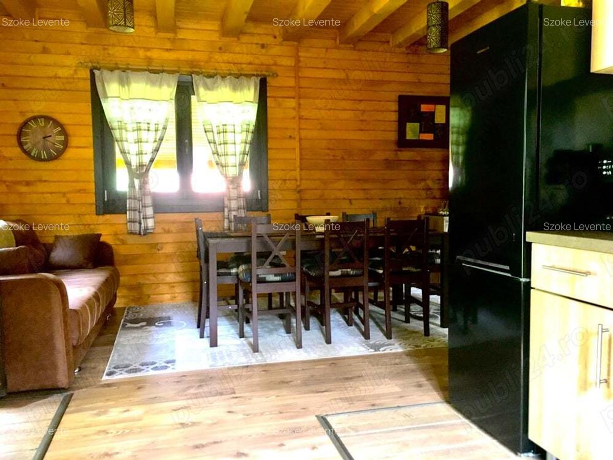 Casa din grinzi pe marginea paraului Borzont - 5