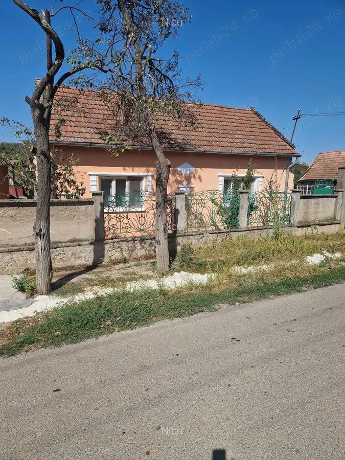 Casa la tara 40 km de Oradea - 7