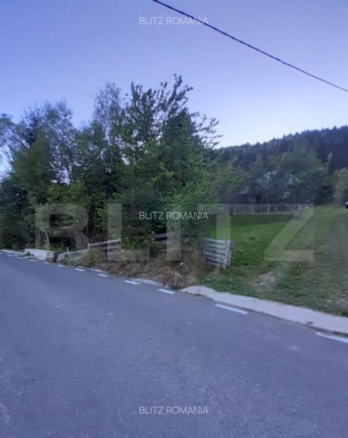 Casa la munte, cu teren 13383 mp, zona Horea - Apuseni - 8
