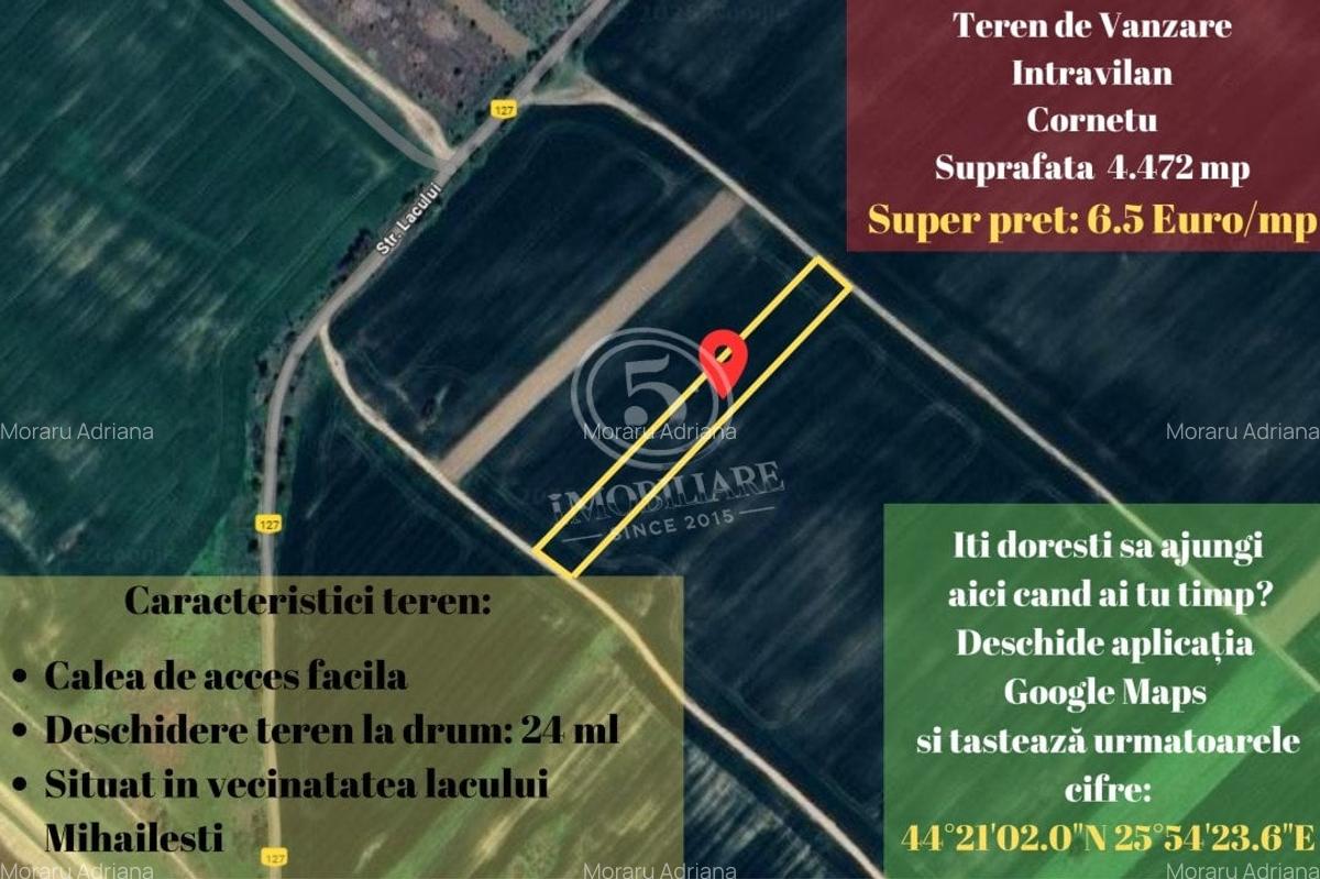 Teren agricol intravilan, Cornetu, Ilfov – 4.472 mp - 1