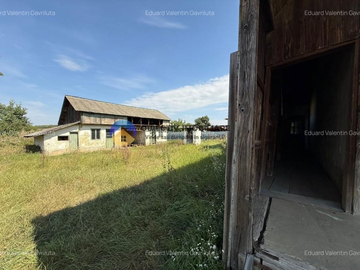 Casa + teren spatios de vanzare - Girov - 2