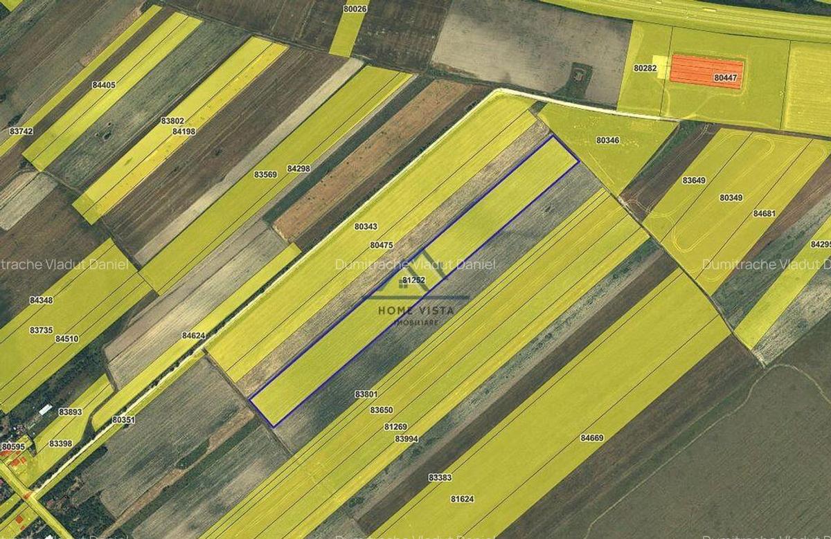 Teren agricol extravilan Rate?ti, Arge? - 4