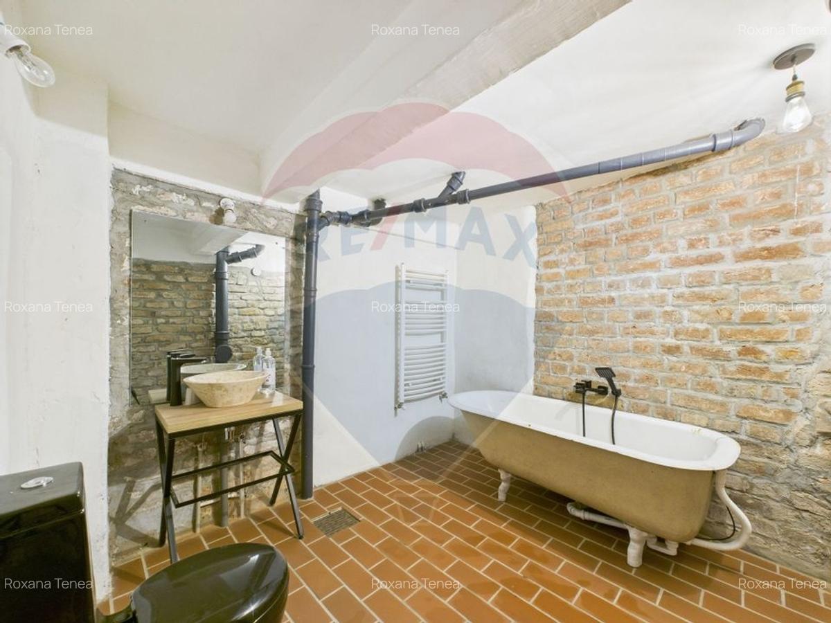 Spatiu comercial-Demisol-Atelier de arta - 14