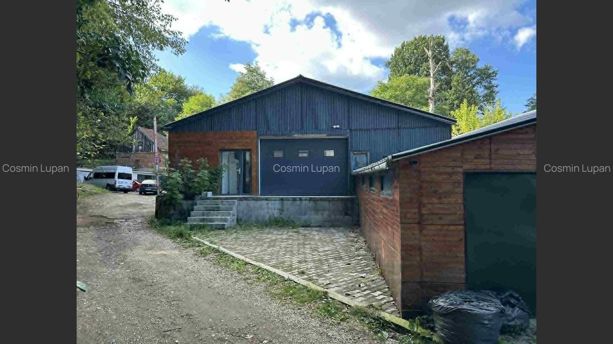 Hale de inchiriat pe drumul Lupacului - 2
