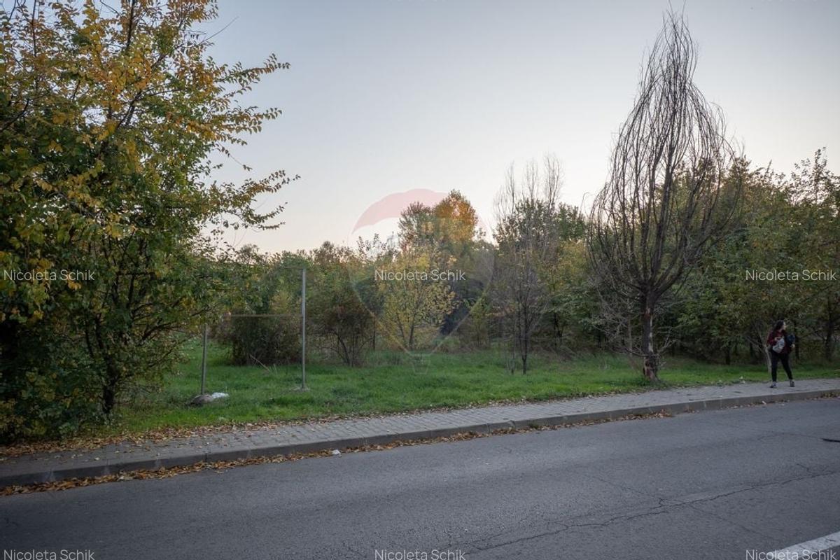 Vanzare Teren 1,800mp Vacaresti-Tinetretului - 4