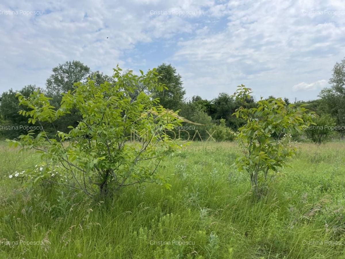 Teren intravilan***1439 mp***Cretesti-Vidra-Ilfov - 2