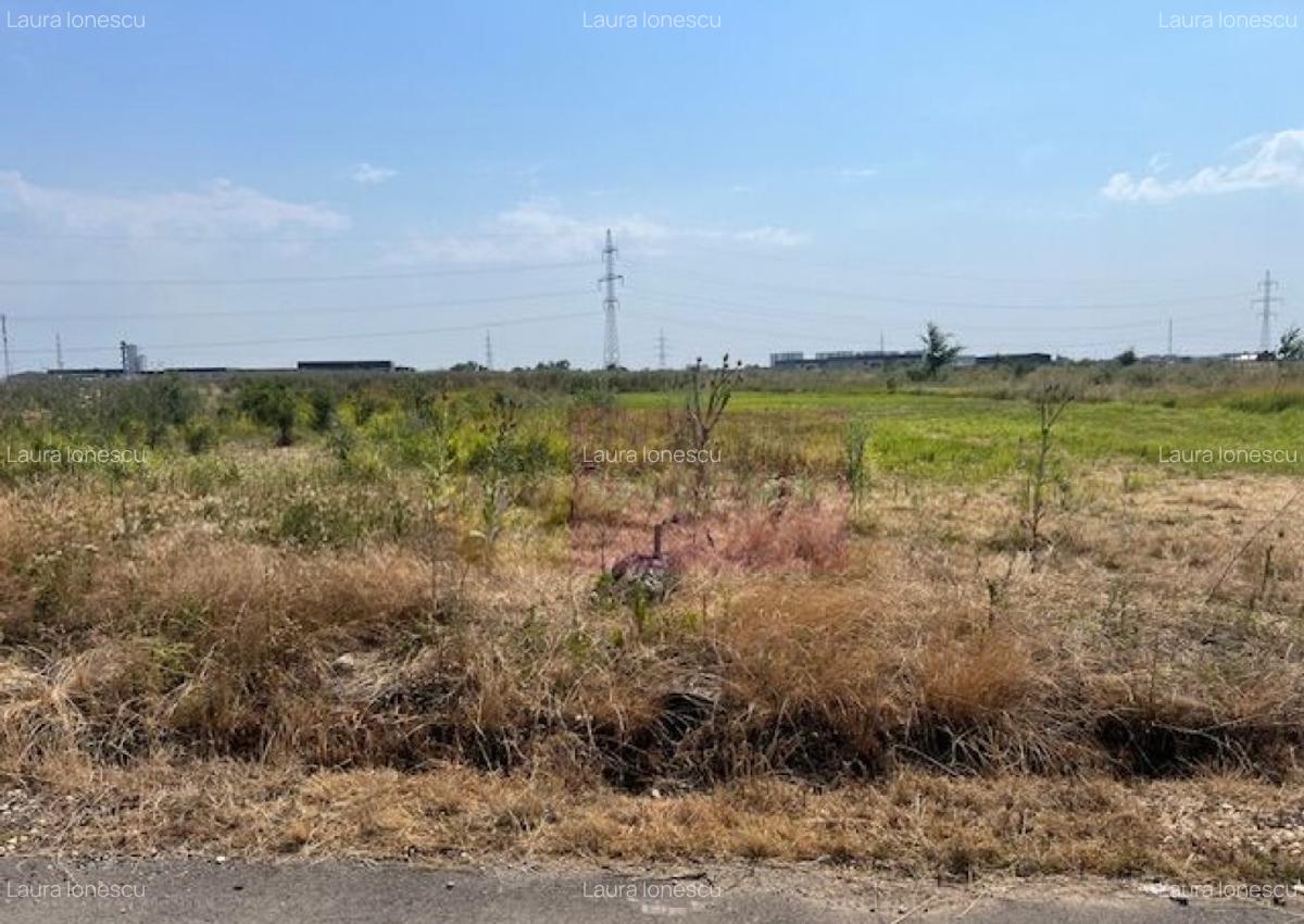Teren Domnesti- Fortului. - 7