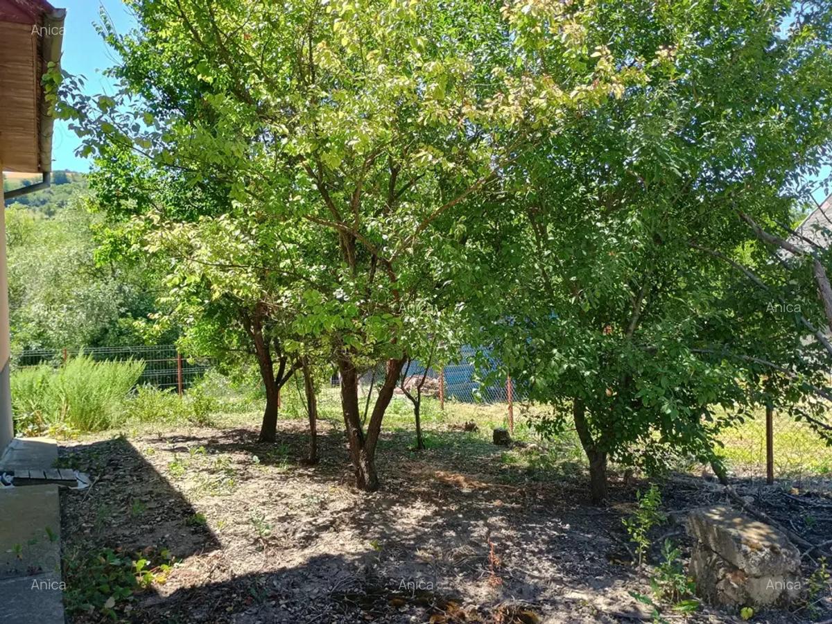 Vand casa cu gradina de legume si curte in Soporu de Campie nr 97A cu CF disponibil - 11