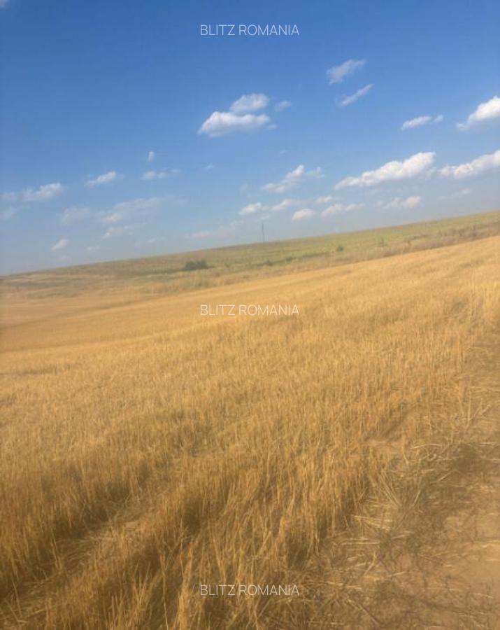 Teren intravilan, 500mp, zona Malu Mare, comision 0% - 10