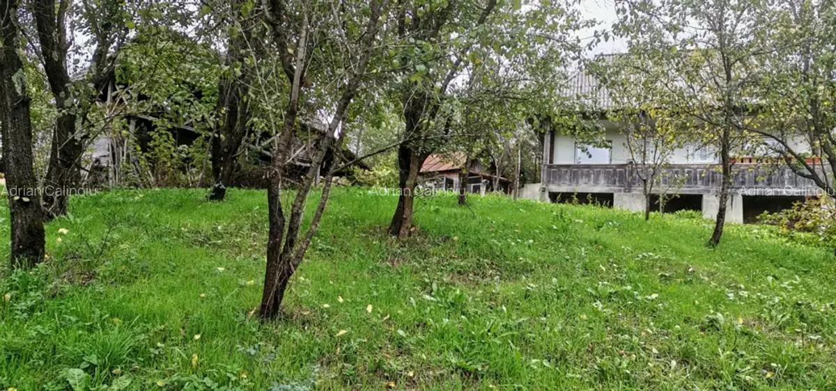 Casa de vanzare - teren 2357 mp in comuna Pietrari - 1