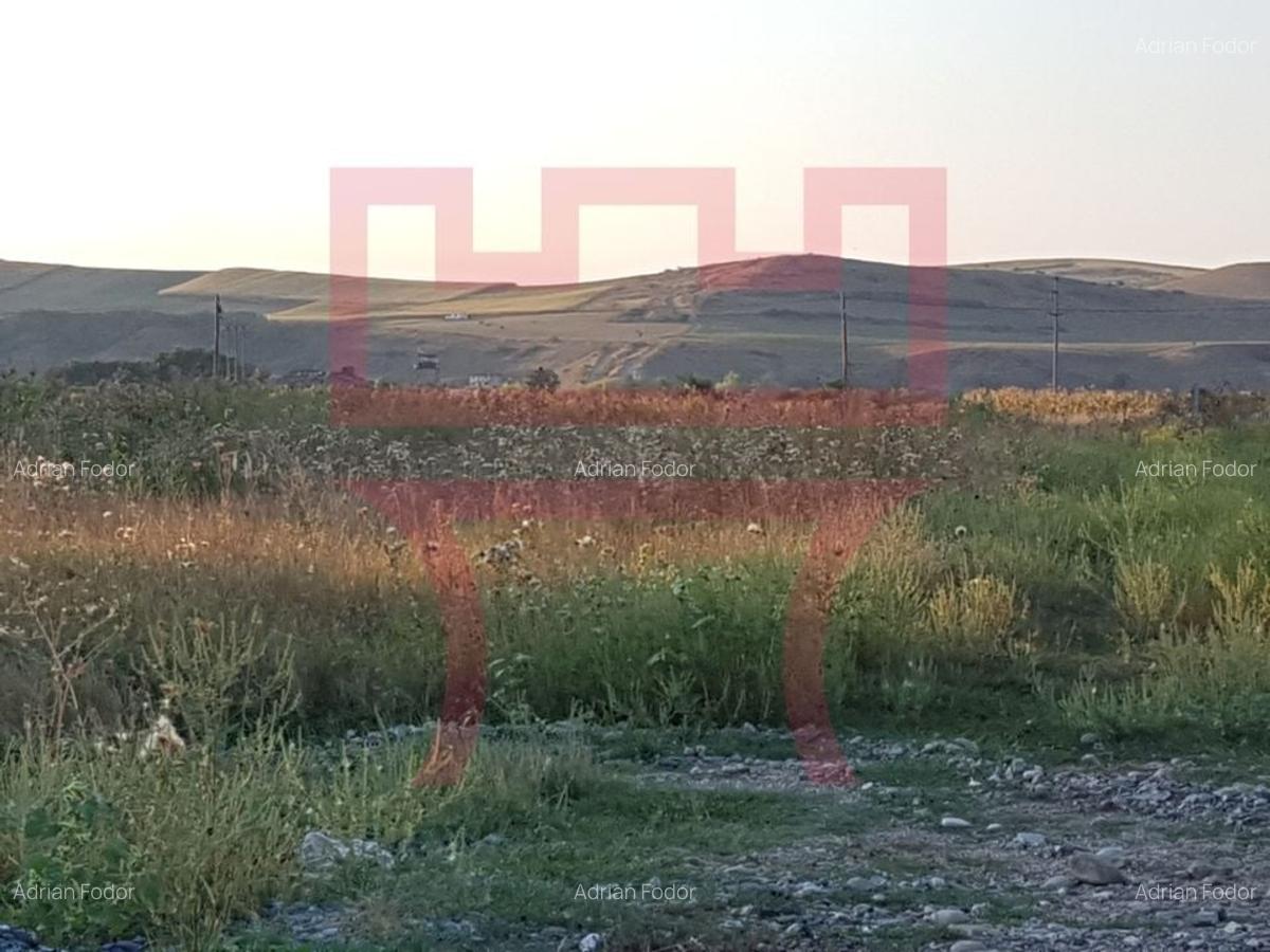 Vanzare teren pentru hala in zona strazii Valea Chintaului PUZ aprobat - 8