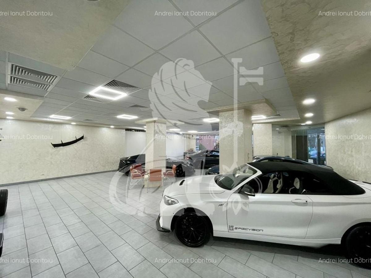 Showroom | 300 mp | Baneasa, Aviatiei - 8