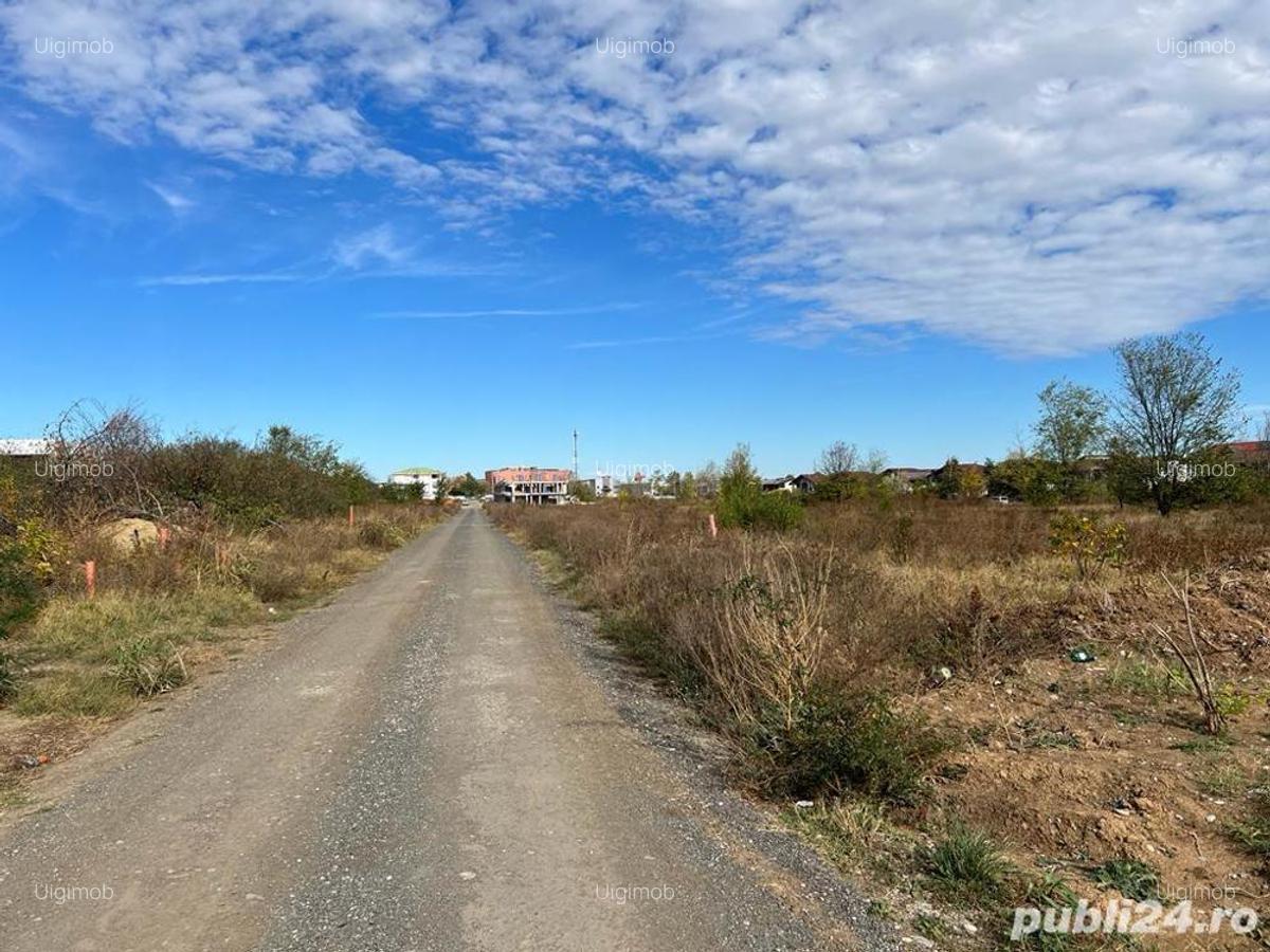 Pantelimon - Lebada- str.Baile Felix, teren intravilan curti - constructii, suprafata de 7500 mp. - 3 Pantelimon - Lebada- str.Baile Felix, teren intravilan curti - constructii, suprafata de 7500 mp. - 3