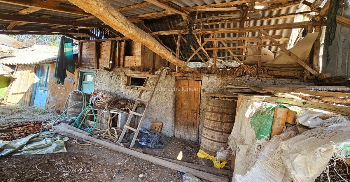 Vand casa in Teleorman, sat Albeni - 2