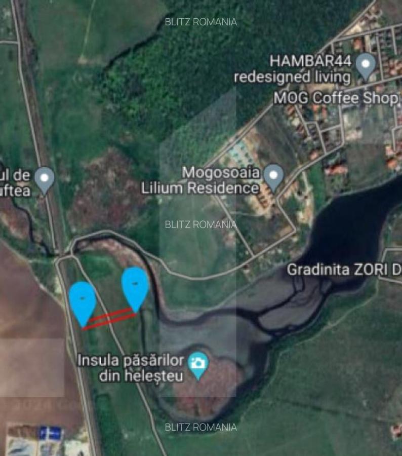 Teren de Vanzare - Lac Mogosoaia - 3