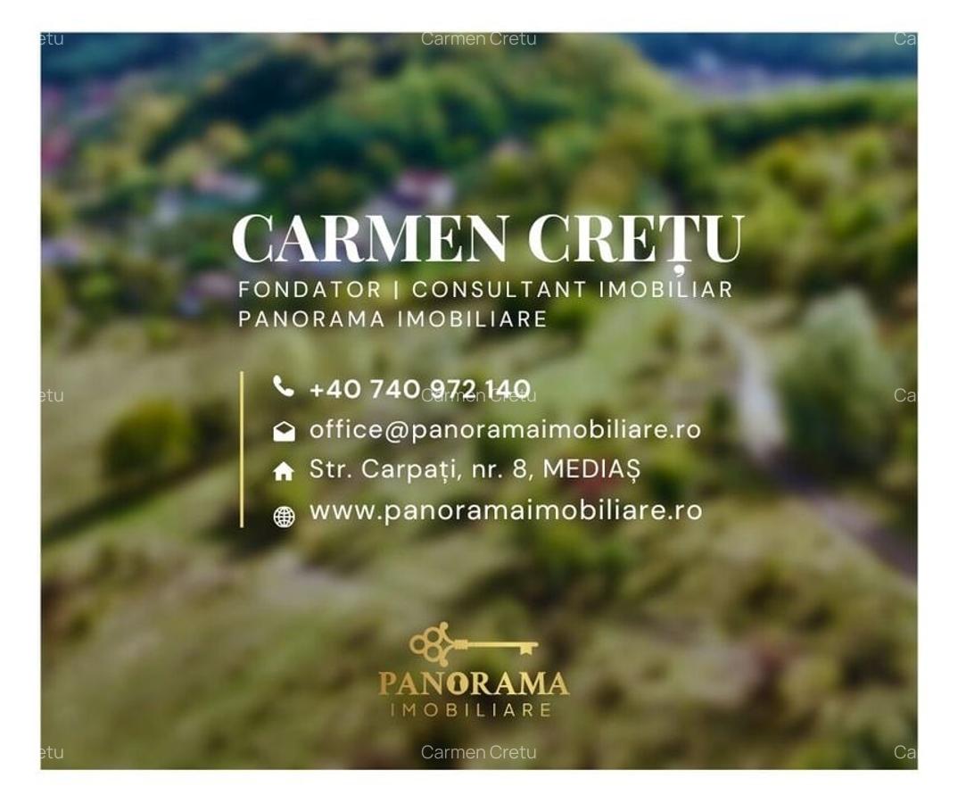 Teren intravilan cu vedere panoramică  4230mp - Mediaș - 8