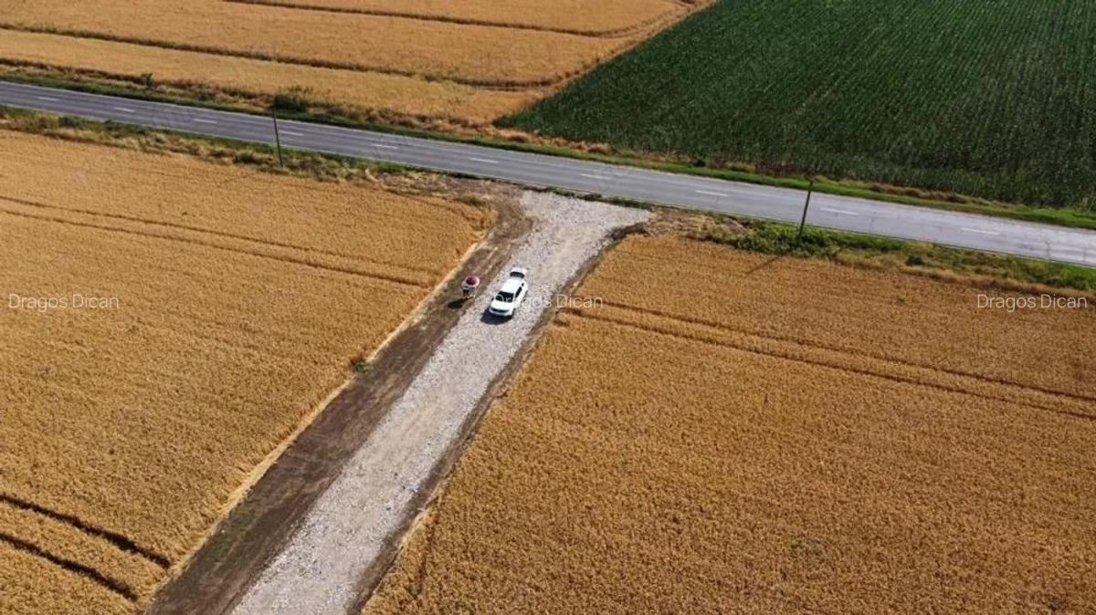 Intravilan In Rate in Frumusani-Pasarea | utilitati gaz, curent | #RG1 - 6