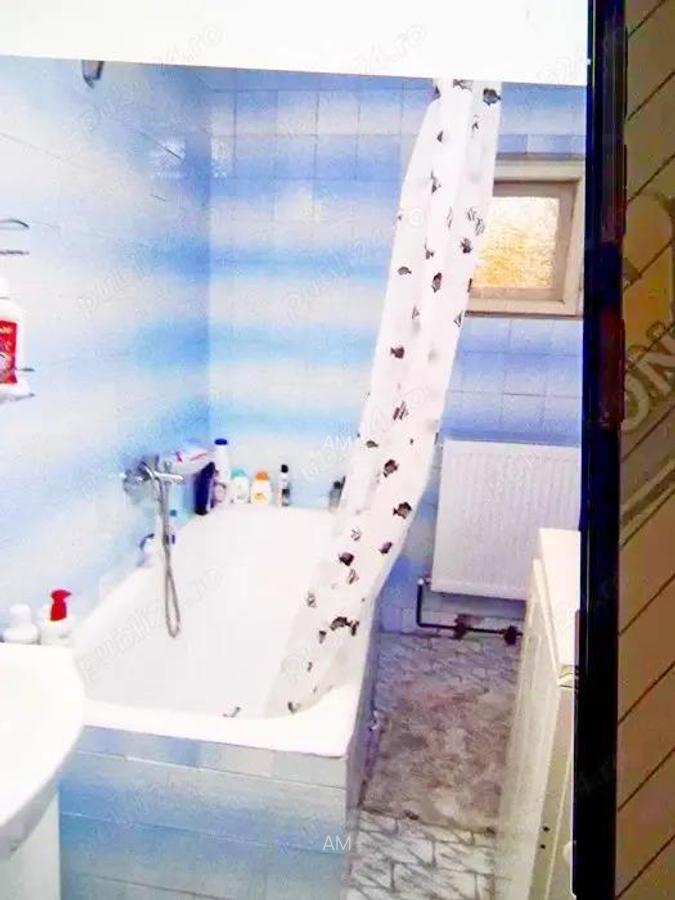 Iosefin - apartament cu o camera - 9