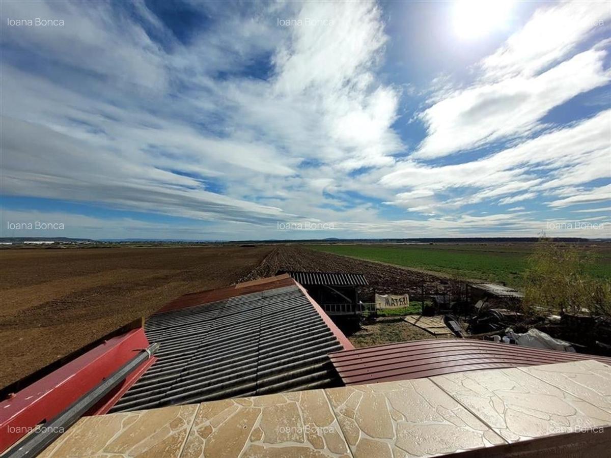 Casa P+M cu livada,6.862 mp teren,Oradea,Zona Aeroport - 7