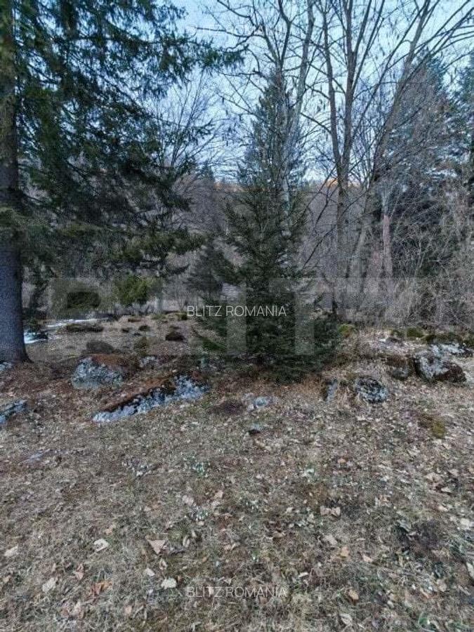 Casa de vacanta de vanzare in Rasnov - Brasov - 7