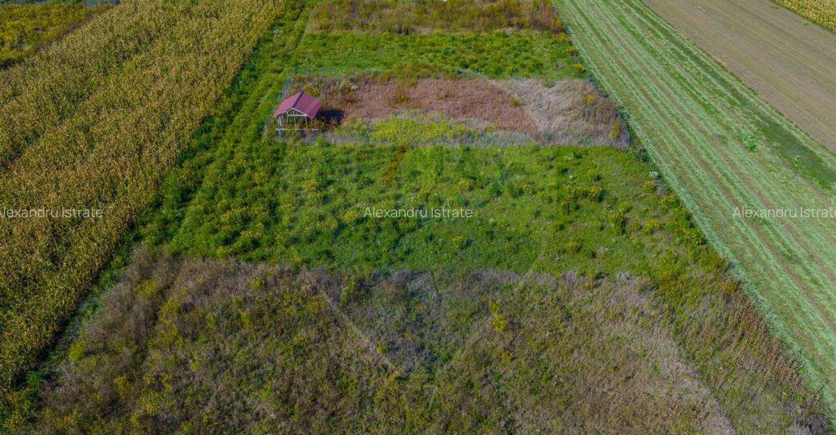 Teren de vanzare 532mp Brasov, Strada Luncii | COMISION 0% - 3