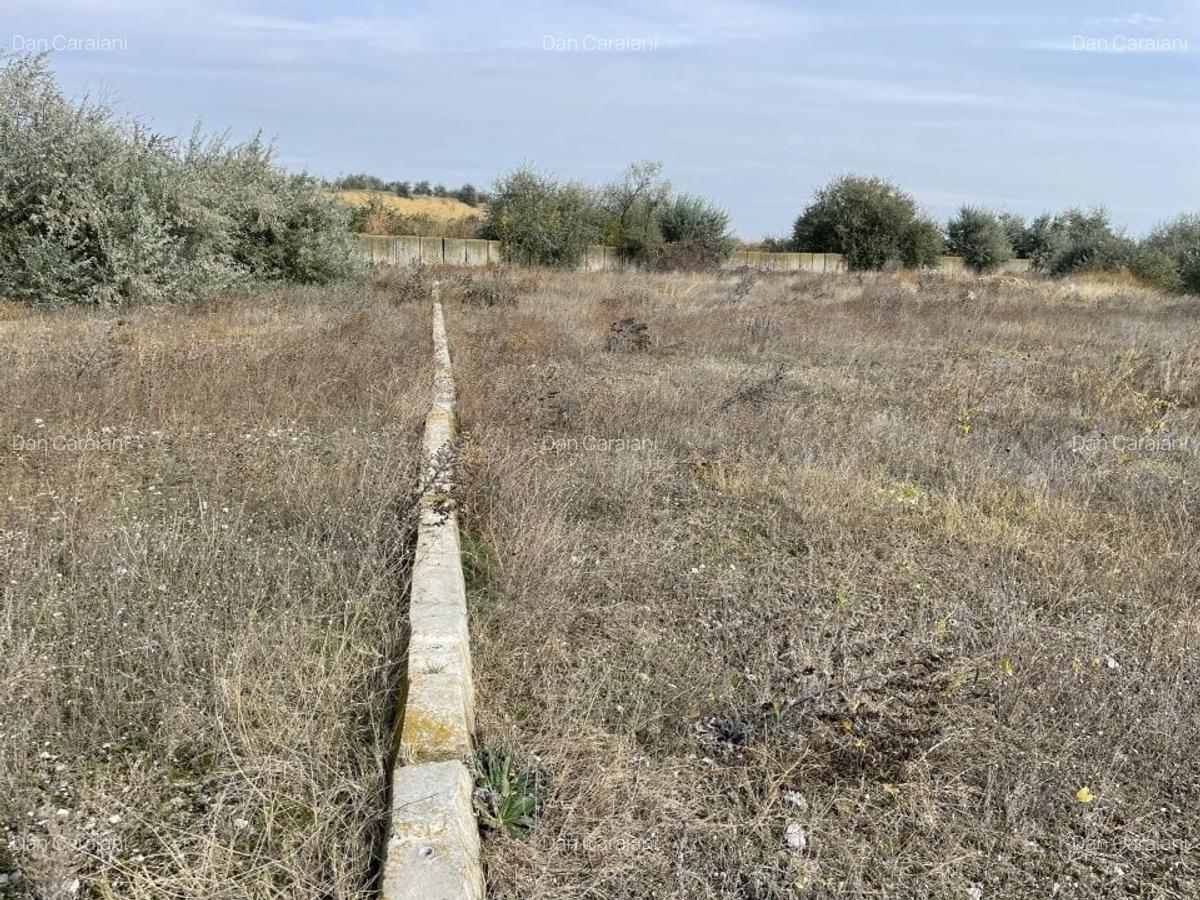 Ovidiu 6 ha teren intravilan construibil îngrădit și platforma betonata. - 18 Ovidiu 6 ha teren intravilan construibil îngrădit și platforma betonata. - 18