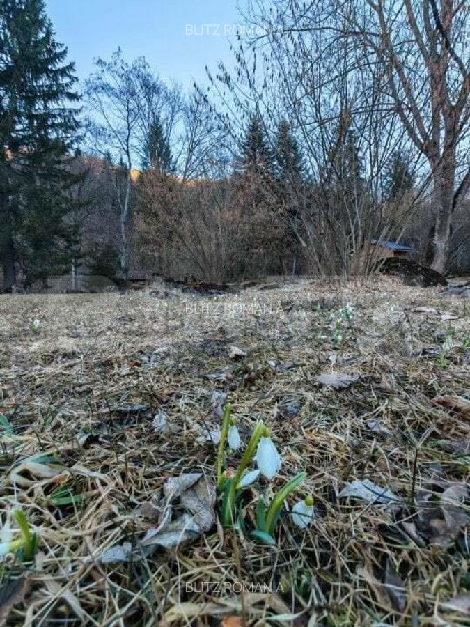 Casa de vacanta de vanzare in Rasnov - Brasov - 6