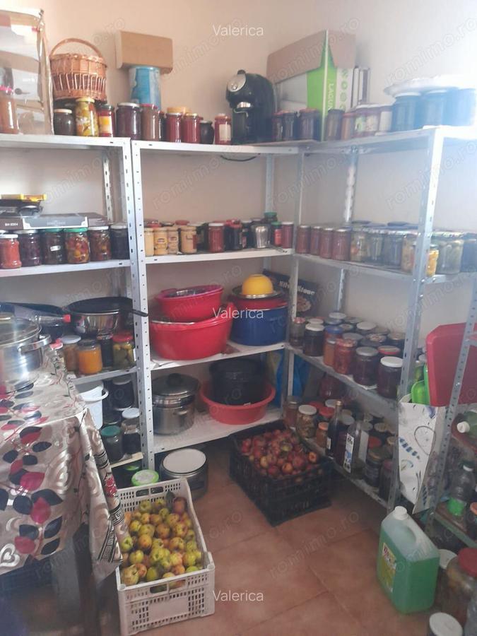 Vand casa in Avram Iancu (Cermei) - 10