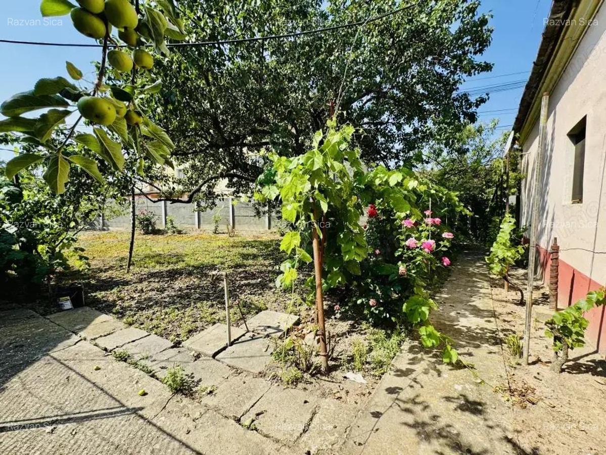 Casa 3 Camere - loc. Ciacova - 0% Comision - 16