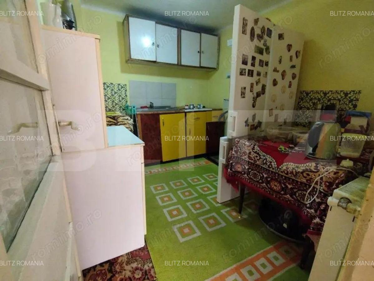 Casa individuala 5 camere, 198 mp, 250 mp teren, langa Parc - 10