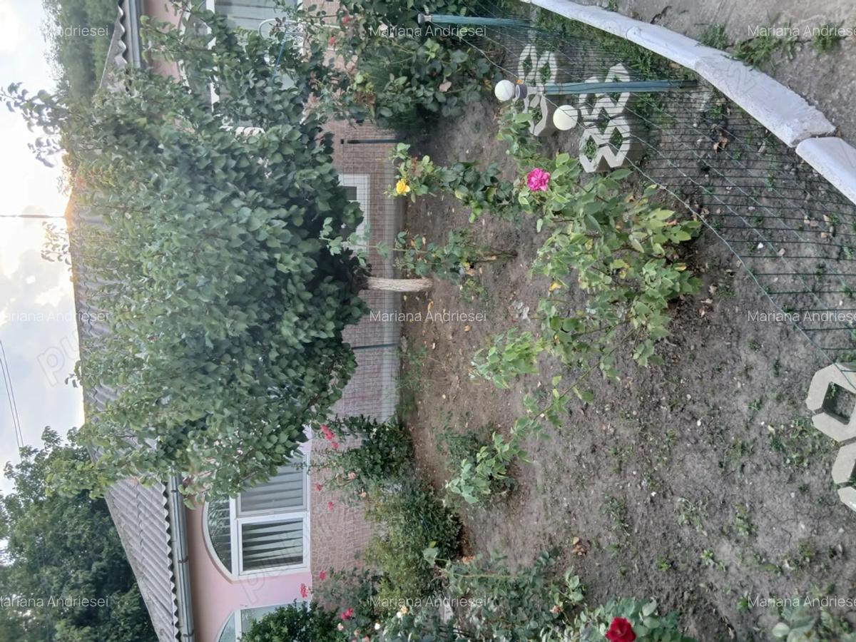 Casa cu gradina in Probota Iasi. - 2