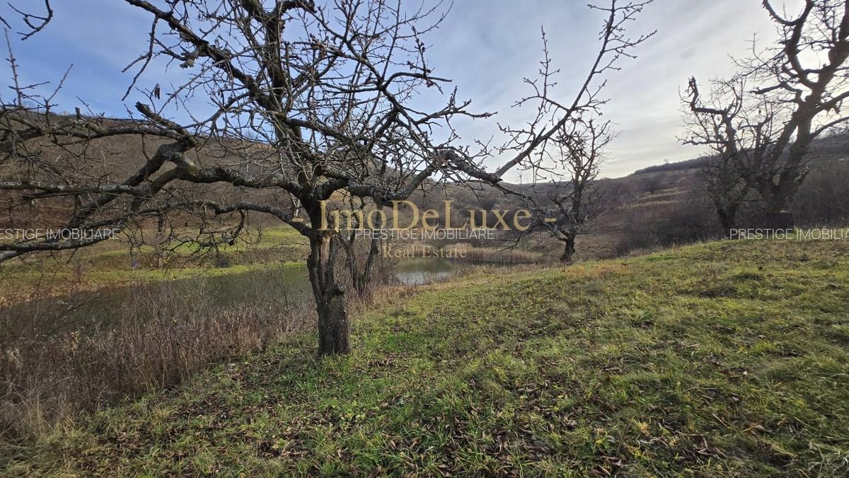 Teren extravilan langa lac, 8500mp, priveliste, acces, utilitati, zona Baciu - 4