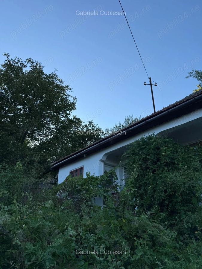 Vand teren 1300 mp inclusiv casa 70mp Racoasa, judetul Vrancea. - 1 Vand teren 1300 mp inclusiv casa 70mp Racoasa, judetul Vrancea. - 1