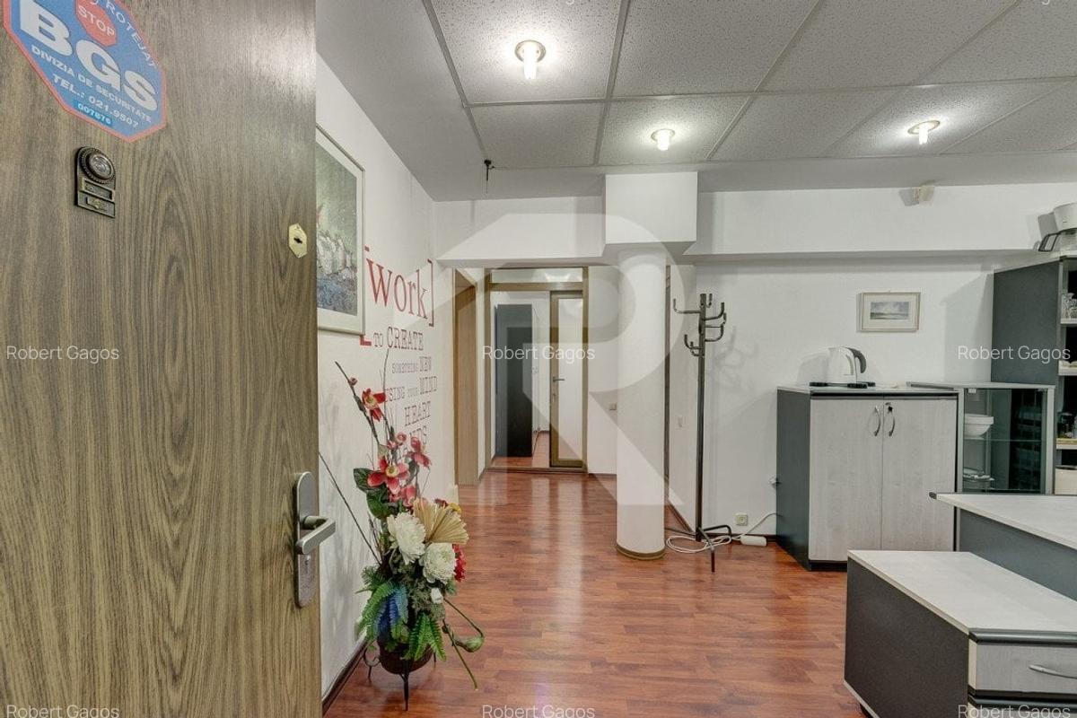 Birou premium pe Șos. Panduri - 14