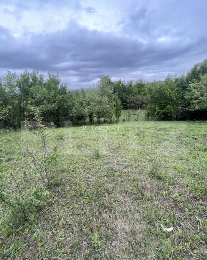 Teren extravilan 5200 mp Budacul de Jos- Investi?ie ex - 3